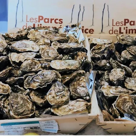 Les Pieds Dans L Eau * Étretat