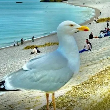 Les Pieds Dans L Eau